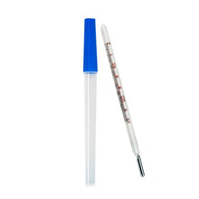 Load image into Gallery viewer, 2 Pieces Mercury Glass Thermometers