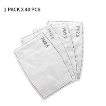 Load image into Gallery viewer, Face Mask Filter 40pc/20pc/10pc PM2.5 Breathing Insert Anti
