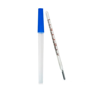 2 Pieces Mercury Glass Thermometers