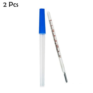 2 Pieces Mercury Glass Thermometers